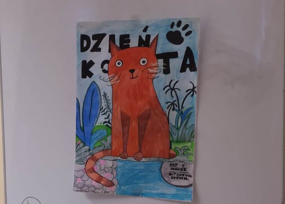 Kot
