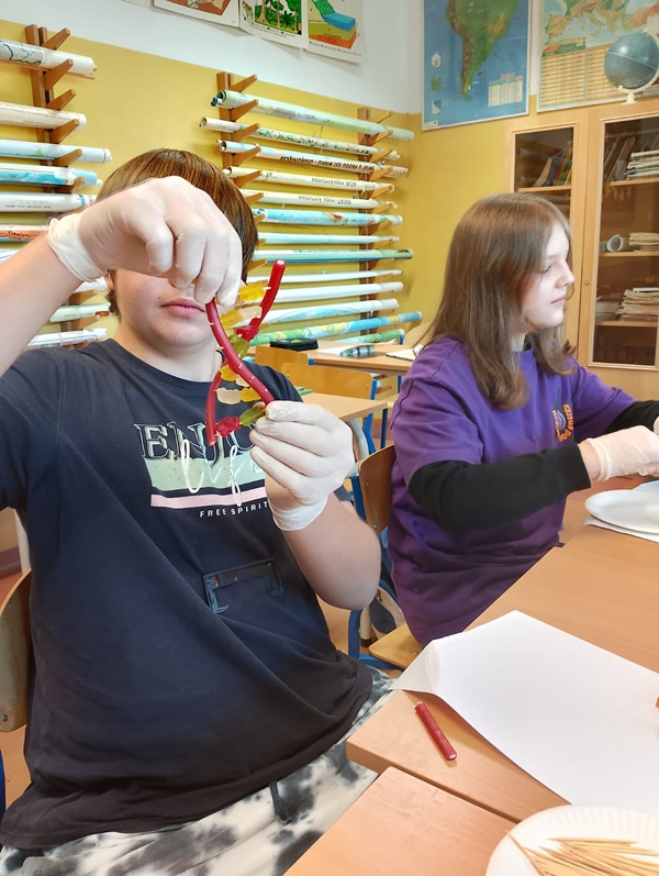 Uczeń trzymający w rękach wykonany przez siebie model DNA z żelków