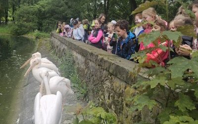 Wyprawa do świata zwierząt - wycieczka klas 2a i 2b do Chorzowskiego ZOO