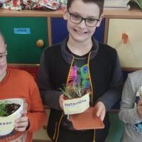 Ogródki warzywno - ziołowe w klasach 1-3 (12)