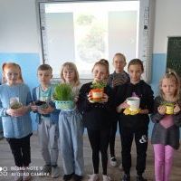 Ogródki warzywno - ziołowe w klasach 1-3 (14)