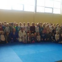 Pokaz judo