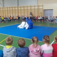 Pokaz judo