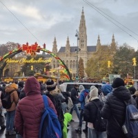 Jarmark Bożonarodzeniowy w Wiedniu (9)