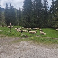 Trzydniowa wycieczka do Zakopanego klas 8a, 8b i uczniów z 7a. (12)