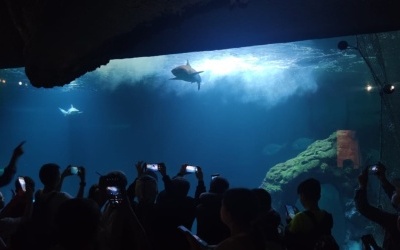 Wycieczka klas trzecich do wrocławskiego ZOO (1)