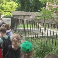Wycieczka klas trzecich do wrocławskiego ZOO (3)