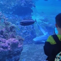 Wycieczka klas trzecich do wrocławskiego ZOO (5)