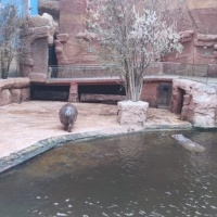 Wycieczka klas trzecich do wrocławskiego ZOO (8)
