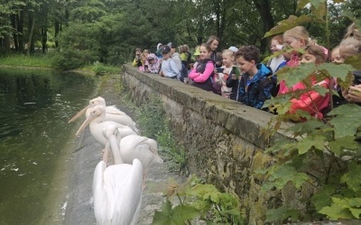 Wyprawa do świata zwierząt - wycieczka klas 2a i 2b do Chorzowskiego ZOO (1)