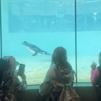 Wyprawa do świata zwierząt - wycieczka klas 2a i 2b do Chorzowskiego ZOO (5)