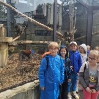 Wyprawa do świata zwierząt - wycieczka klas 2a i 2b do Chorzowskiego ZOO (7)