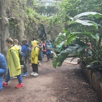 Wyprawa do świata zwierząt - wycieczka klas 2a i 2b do Chorzowskiego ZOO (9)
