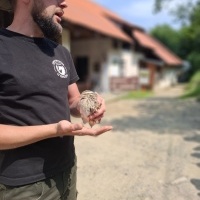 Wielka przygoda pierwszoklasistów (10)